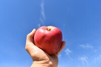 株式会社　道のプレスリリース画像4