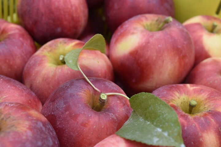 南信州「果実酒特区」でりんごを使用したシードル、ワイン、りんごジュースを5月10日から販売開始。生産から醸造まで一貫製造 - 株式会社  道のプレスリリース