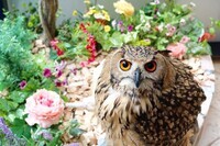 株式会社GINNANのプレスリリース