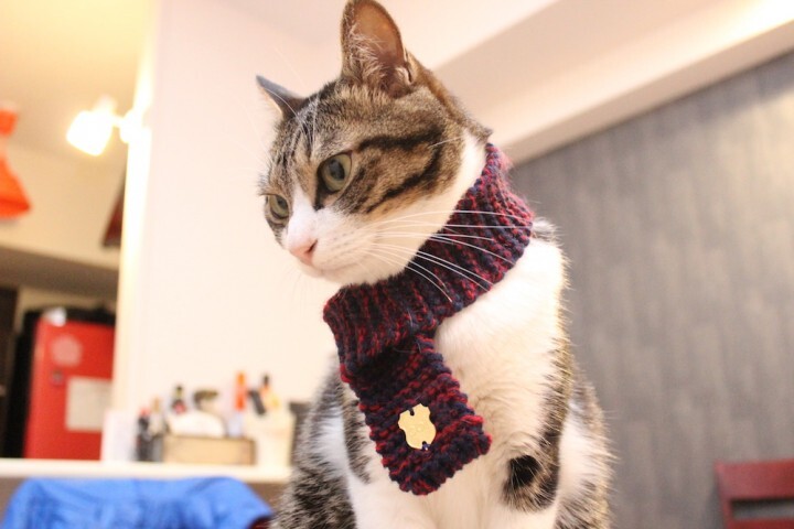 株式会社colのプレスリリース画像5