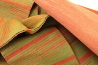 株式会社セミアリッチマテリアルのプレスリリース画像3