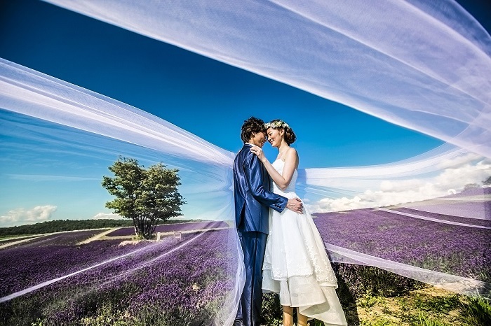 株式会社デコルテのプレスリリース