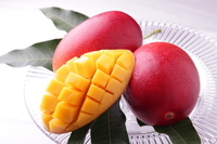 みやざきブランド推進本部のプレスリリース