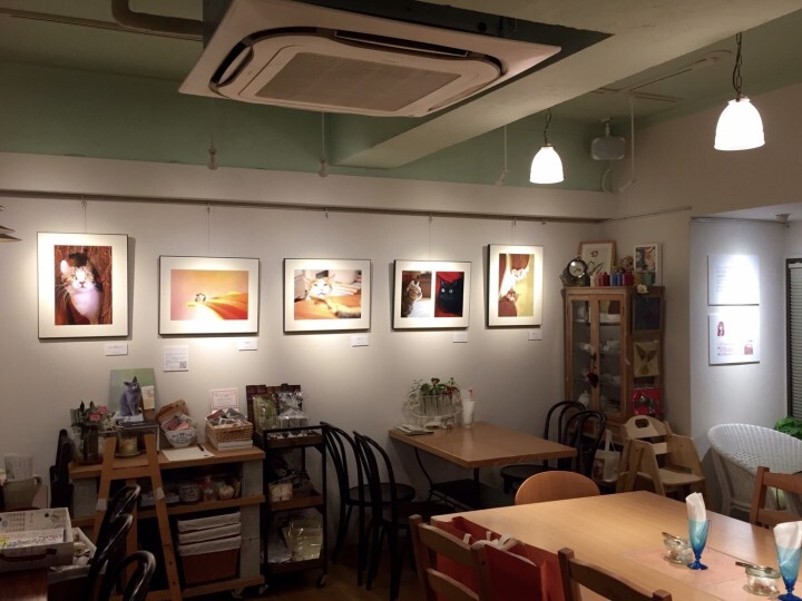 チームミゾタのプレスリリース画像9