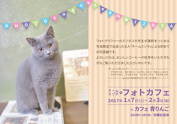 チームミゾタのプレスリリース画像1