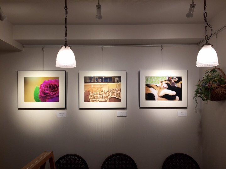 チームミゾタのプレスリリース画像8