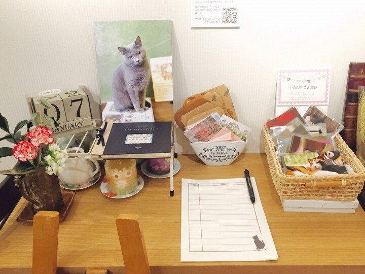 チームミゾタのプレスリリース画像10