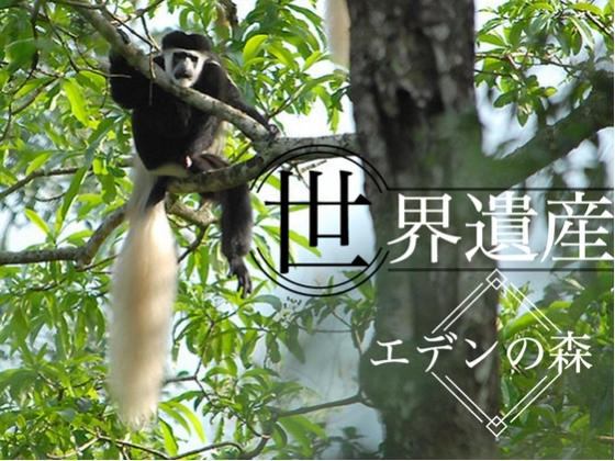 タンザニア・ポレポレクラブのプレスリリース画像1