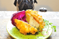 株式会社avocado power companyのプレスリリース画像5