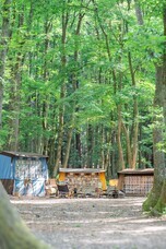 パジャマムーンのプレスリリース画像6