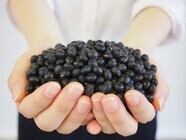 ジュゲン株式会社のプレスリリース画像4