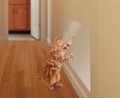 東洋アルミエコープロダクツ株式会社のプレスリリース