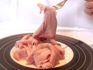 株式会社DIGプライミングのプレスリリース画像10