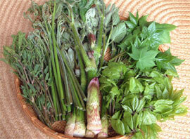 どきみんのプレスリリース