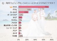 株式会社アメリカンホリデーズのプレスリリース画像3