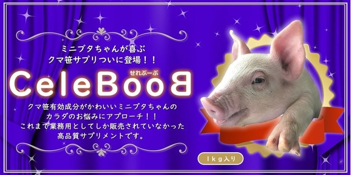 クマ笹エキスで作ったミニブタ用サプリメント セレブーブ 11月25日より発売開始 株式会社ヒューマン プライムのプレスリリース クマ笹エキスで作ったミニブタ用サプリメント セレブーブ 11月25日より発売開始 株式会社ヒューマン プライムのプレスリリース