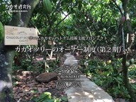 カカオ研究所のプレスリリース画像1