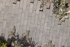 エクステリア x ガーデンエキシビション事務局のプレスリリース画像1