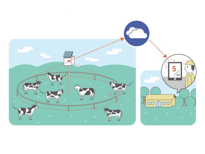 株式会社センシグナルのプレスリリース画像4