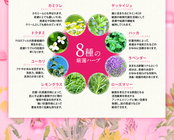 株式会社グリフィンのプレスリリース画像4