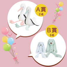 ENT株式会社のプレスリリース画像1