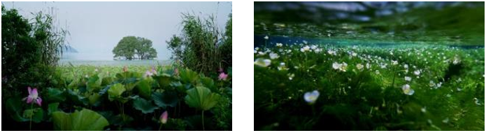 公益社団法人びわこビジターズビューローのプレスリリース画像6