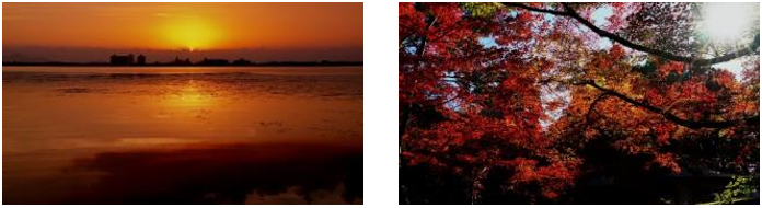 公益社団法人びわこビジターズビューローのプレスリリース画像4