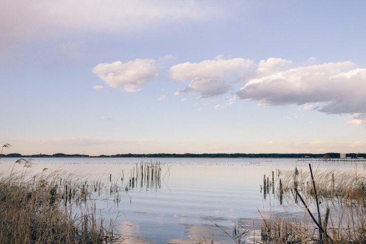 株式会社chicabiのプレスリリース画像4