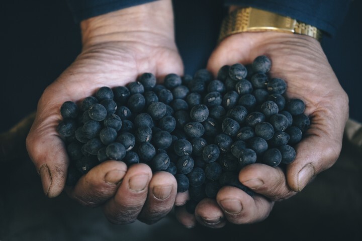 株式会社chicabiのプレスリリース画像6