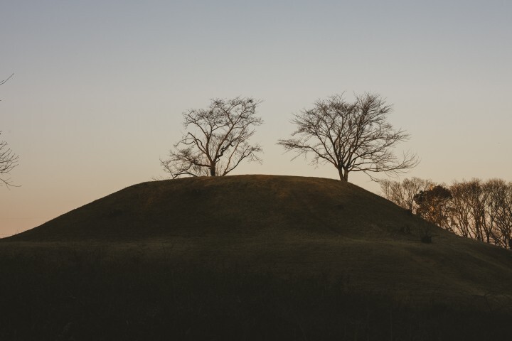 株式会社chicabiのプレスリリース画像3