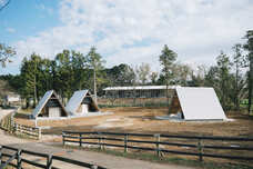 株式会社chicabiのプレスリリース画像1