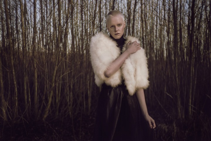 Meyer Optik Goerlitzのプレスリリース画像8