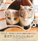 飛び猫合同会社のプレスリリース画像10