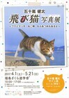 飛び猫合同会社のプレスリリース画像6