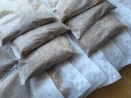 社団法人MACABA JAPANのプレスリリース