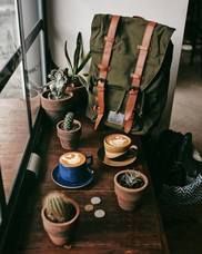 有限会社ジャニスのプレスリリース画像2