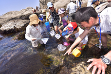 ＮＰＯ パパラギ“海と自然の教室”のプレスリリース