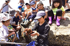 ＮＰＯ パパラギ“海と自然の教室”のプレスリリース画像1