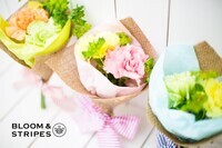 アイア株式会社のプレスリリース画像2