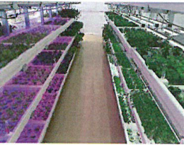 株式会社スタートラインのプレスリリース画像3