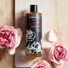 株式会社プレスマンのプレスリリース画像1