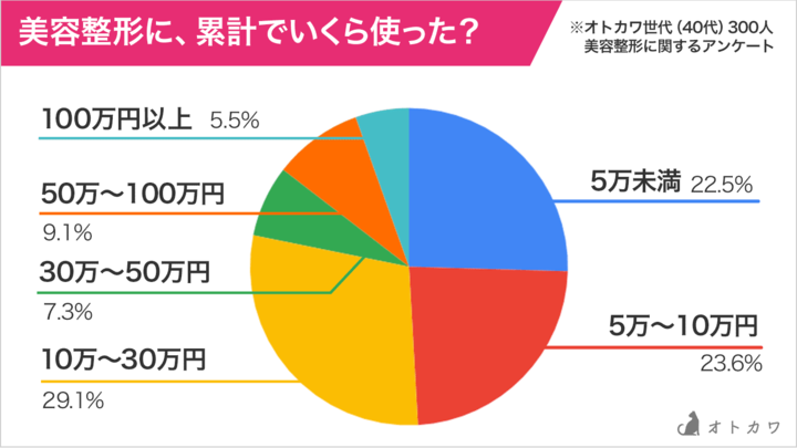 40代で美容整形する人は少ない 300人にアンケートした結果を公開 総額いくら 何歳の時にやった 株式会社プレスマンのプレスリリース