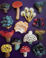 平山日用品店のプレスリリース画像1