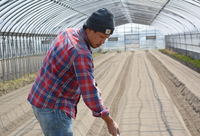 canarea farmのプレスリリース画像1