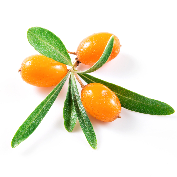 APRIS GmbHのプレスリリース画像5