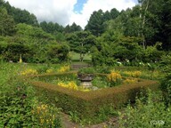 一般社団法人ジャパン・ガーデナーズ・ネットワークのプレスリリース画像1