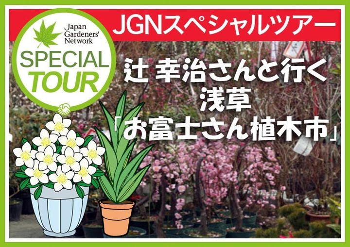 ｎｈｋ趣味の園芸でおなじみ 辻 幸治さんと行く 浅草 お富士さん植木市 好みの珍しい植物をゲットするチャンス 一般社団法人ジャパン ガーデナーズ ネットワークのプレスリリース