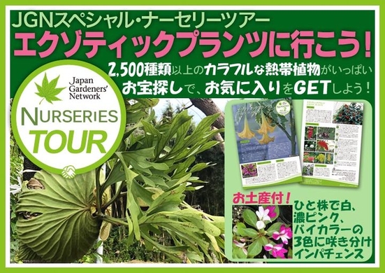 エクゾティックプランツに行こう 2 500種類以上のカラフルな熱帯植物がいっぱい 一般社団法人ジャパン ガーデナーズ ネットワークのプレスリリース エクゾティックプランツに行こう 2 500種類以上のカラフルな熱帯植物がいっぱい 一般社団法人ジャパン ガーデナーズ ネットワークのプレスリリース
