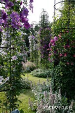 一般社団法人ジャパン・ガーデナーズ・ネットワークのプレスリリース画像1