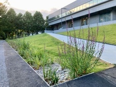 一般社団法人ジャパン・ガーデナーズ・ネットワークのプレスリリース画像1